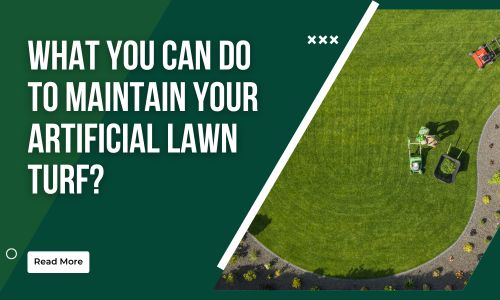  What You Can Do To Maintain Your Artificial Lawn Turf [Artificial Lawn Caring Tips]
