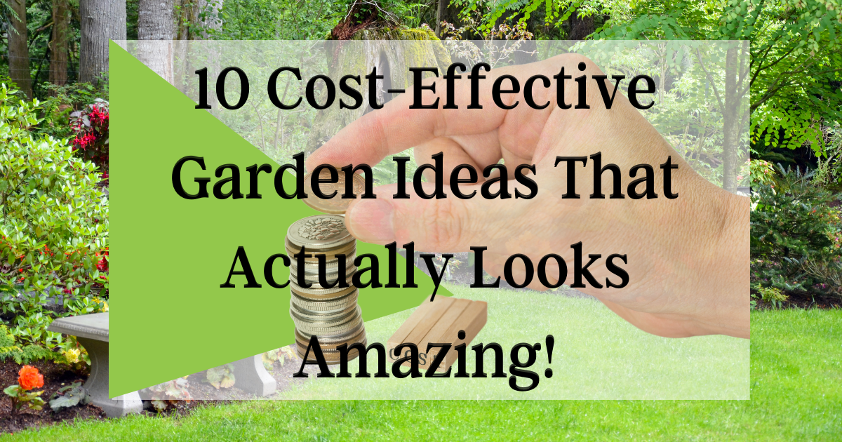 10 Cost Effective Garden Ideas That Actually Looks Amazing 