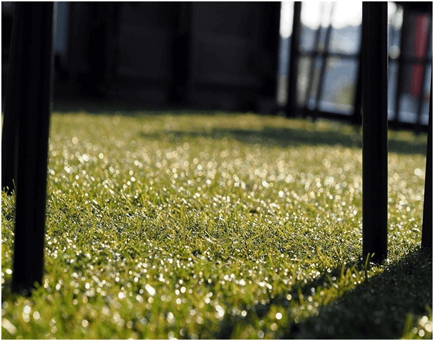 How to stop weeds growing through turf